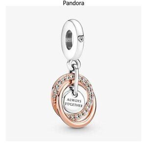 Pandora Charms
